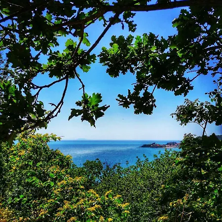 Rombino פונטבלנדה